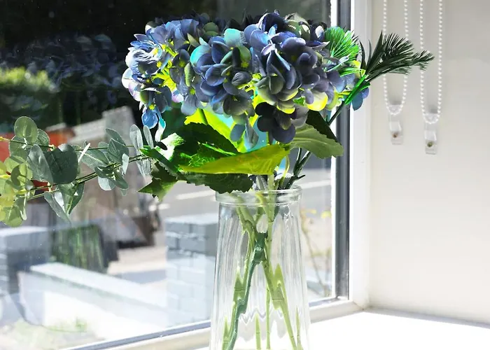 An Teach Ban Банклоди